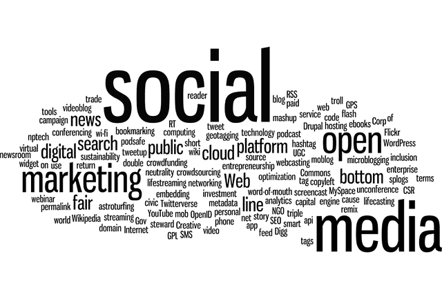 lehigh valley search optimization