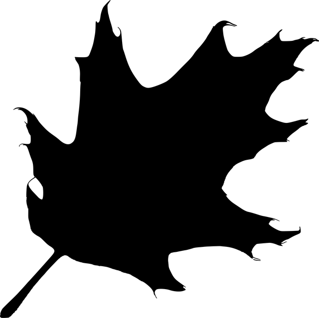 oak-ridge-plumbing-640x480-56154937.png