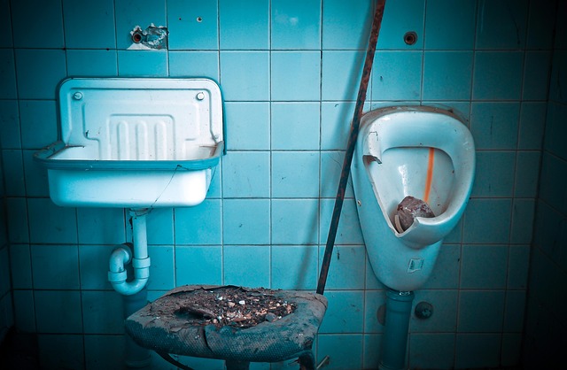 old-toilet-replacement-640x480-41747629.jpeg