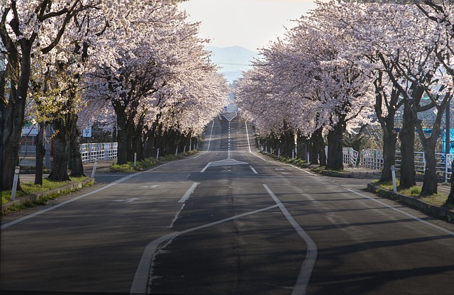 pavement-rehabilitation-640x480-56076128.jpeg