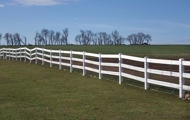 pennsylvania seo agency