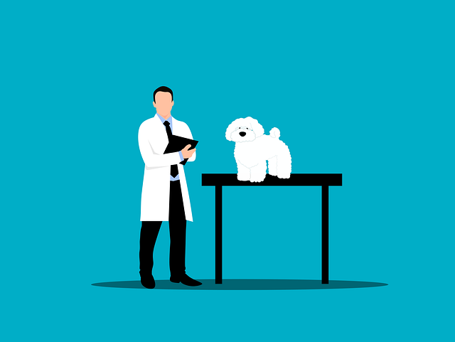 plumbing-specialists-640x480-727956.png
