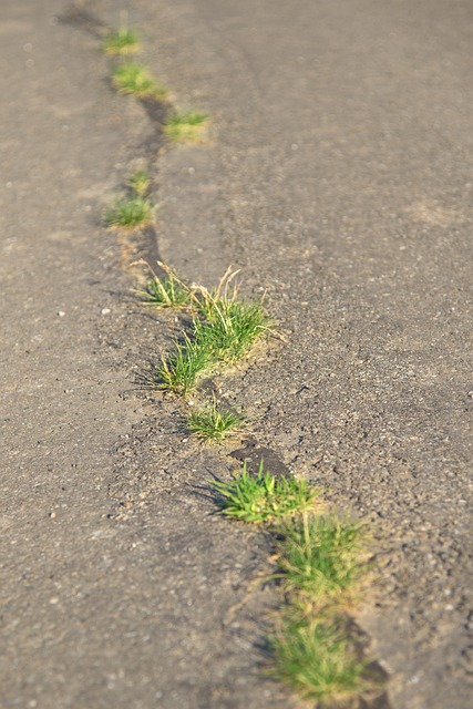 pothole-repair-640x480-43538624.jpeg