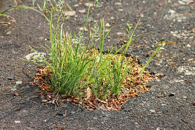 pothole repair
