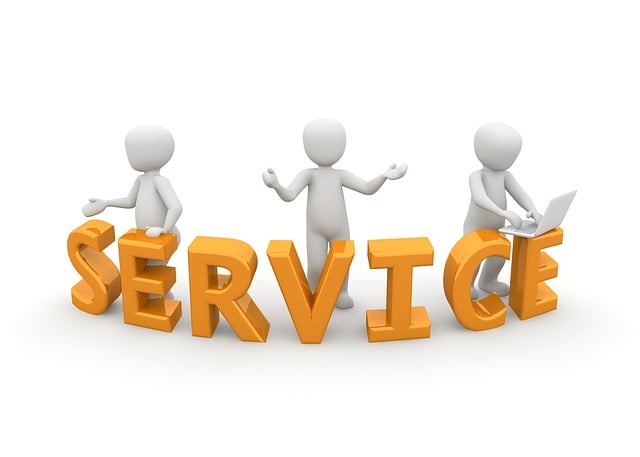 repiping service