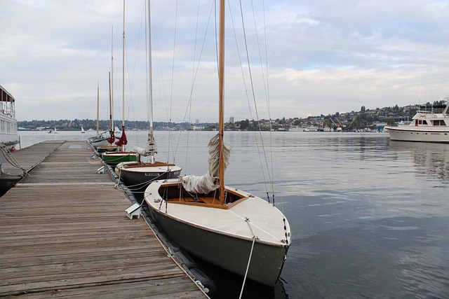 seattle leak detection