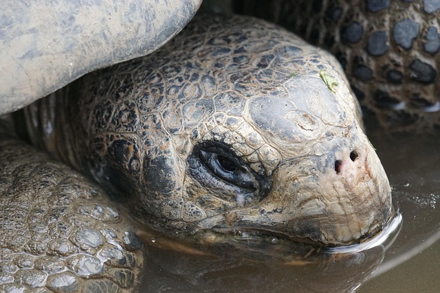 slow drain