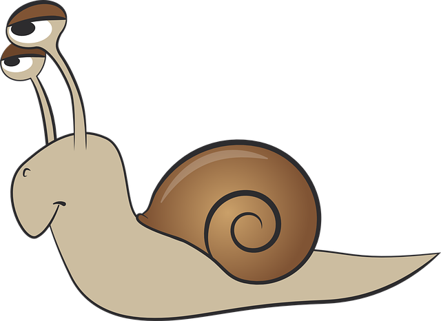 slow-drain-640x480-58413444.png