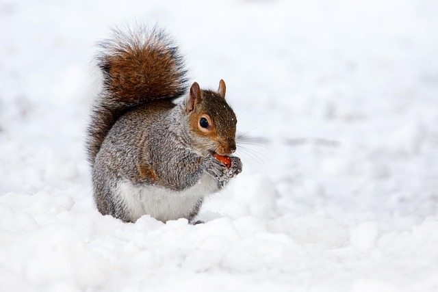 squirrel-hill-plumbing-640x480-20257281.jpeg