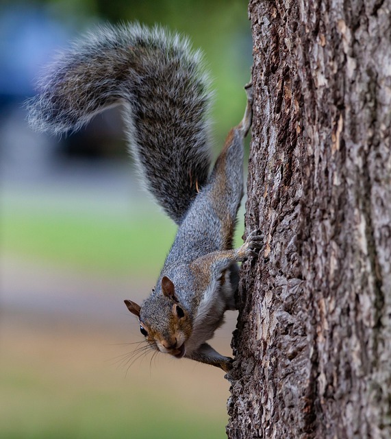squirrel-hill-plumbing-640x480-43206989.jpeg