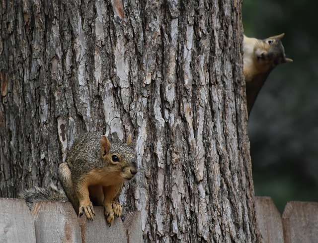 squirrel-hill-plumbing-640x480-59000055.jpeg