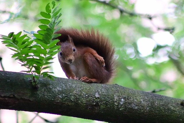 squirrel-hill-plumbing-640x480-93284123.jpeg
