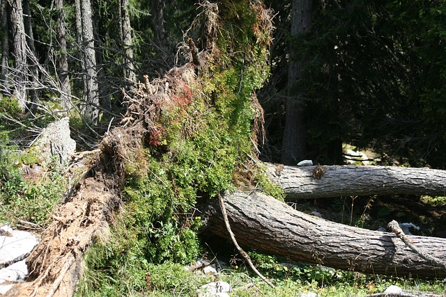 storm-damage-plumbing-640x480-50808368.jpeg
