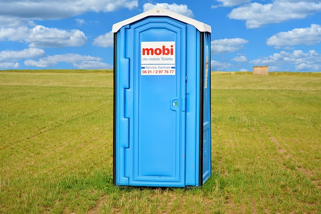toilet flapper replacement