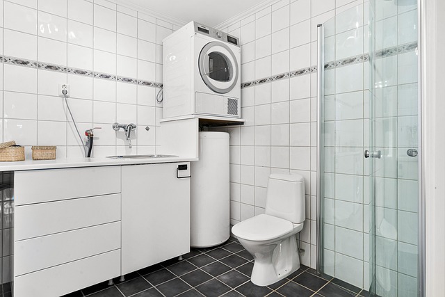toilet flapper replacement