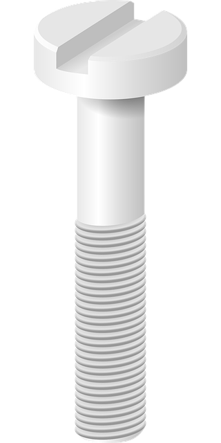 toilet mounting bolts