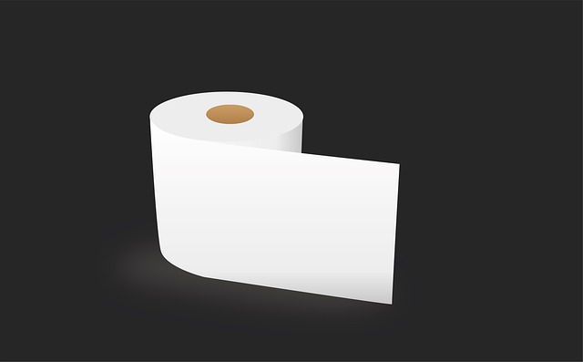 toilet replacement