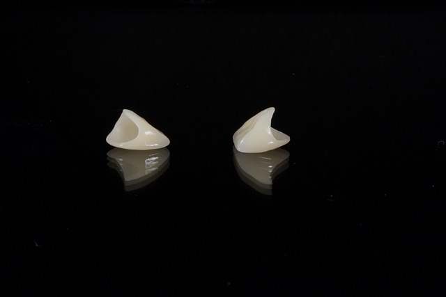 toilet-wax-ring-640x480-66295801.jpeg