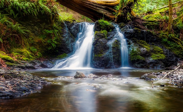 turkey creek plumbing