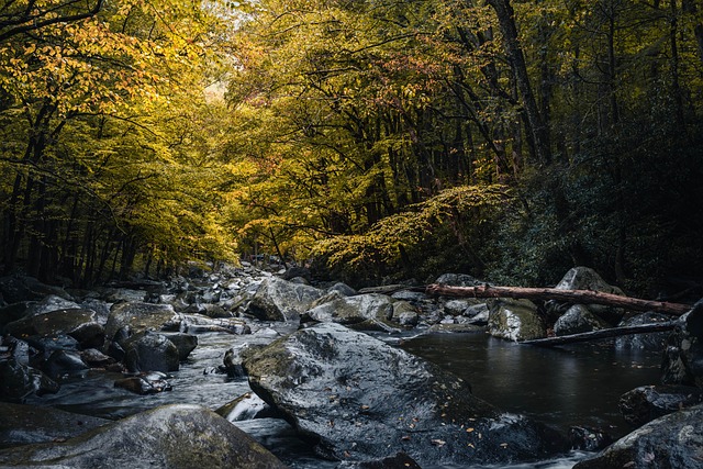 turkey creek plumbing