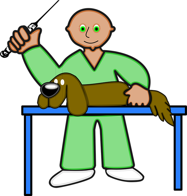 veterinary plumbing