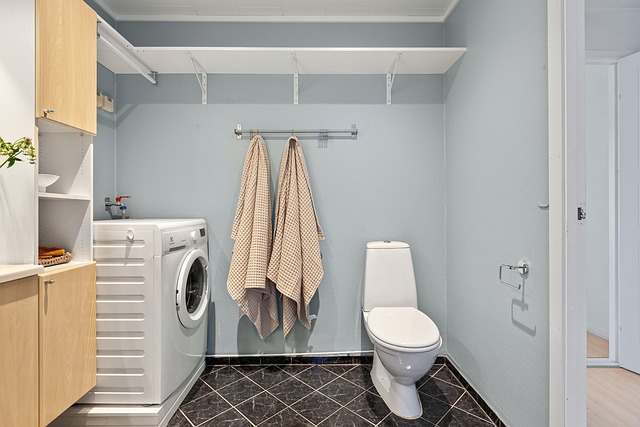 washing machine line