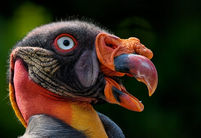 waste-king-repair-640x480-84144327.png