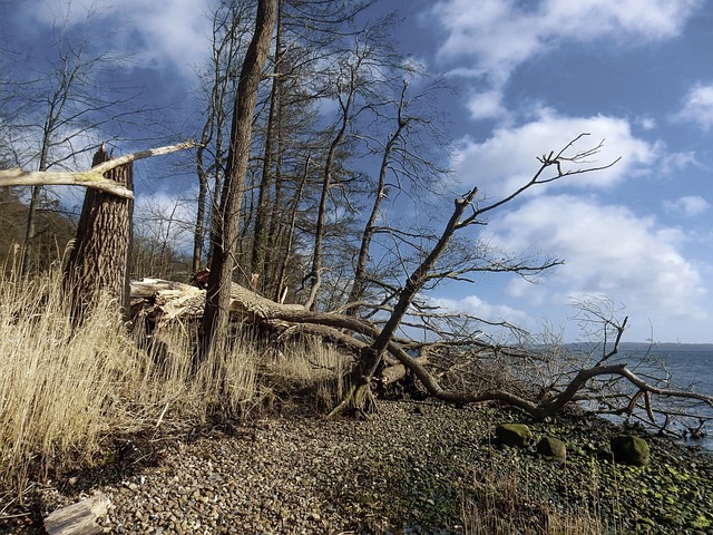 water-damage-prevention-640x480-50397745.jpeg