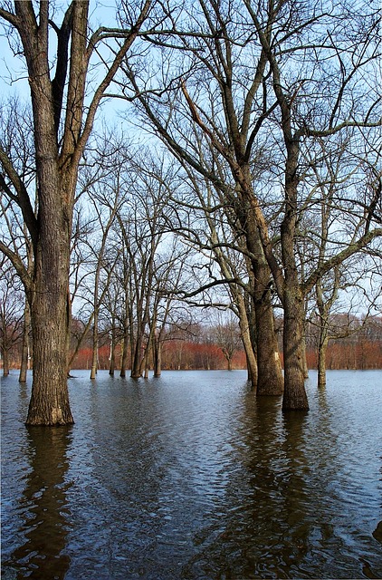 water damage prevention
