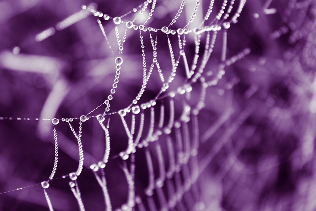 web marketing services