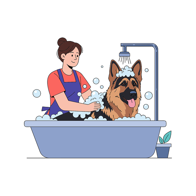 bath-seo-services-640x480-18144128.png