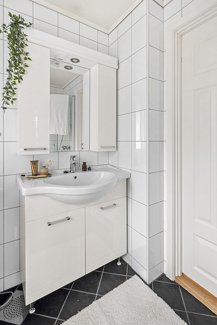 bathroom remodel