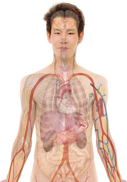 body spray installation