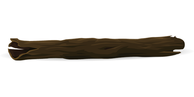 branch-line-repair-640x480-62584500.png