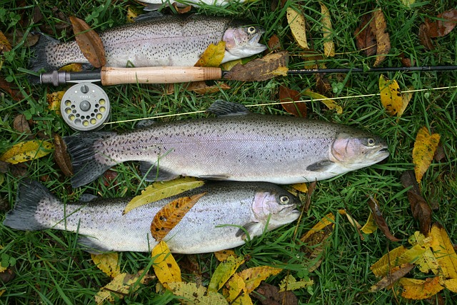 catch basin cleaning