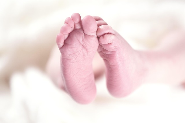 child custody lawyer