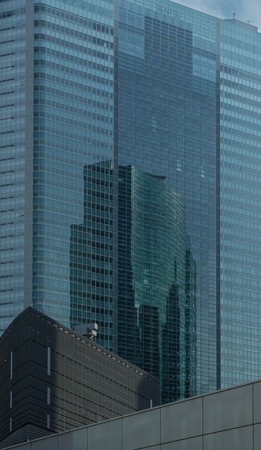 citation building services