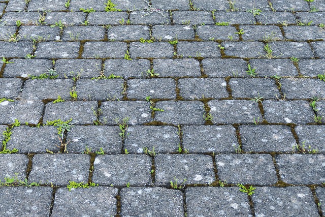 cobblestone paving