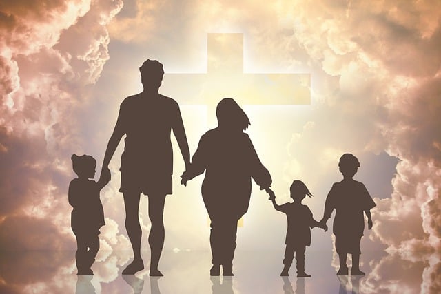 custody legal services