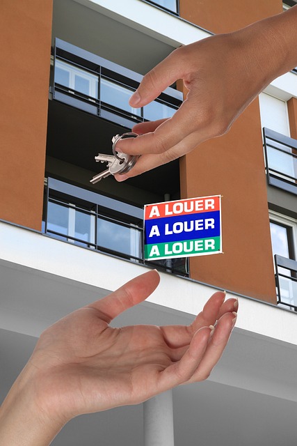 digital advertising agency