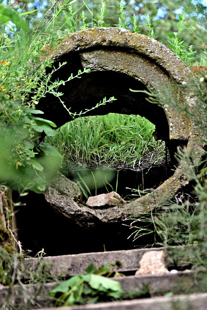 drain augering
