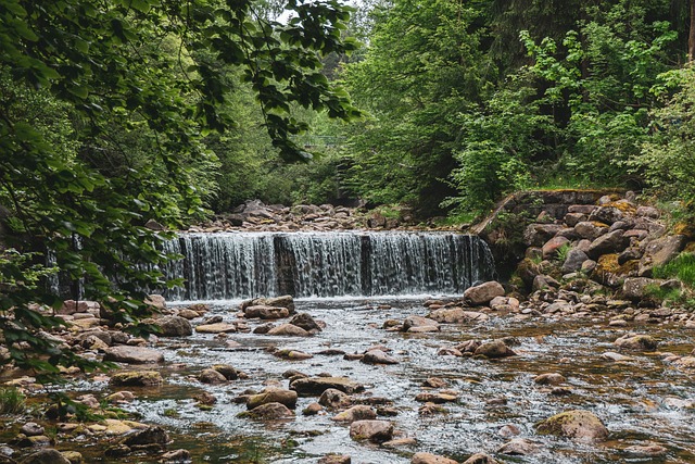 drain overflow