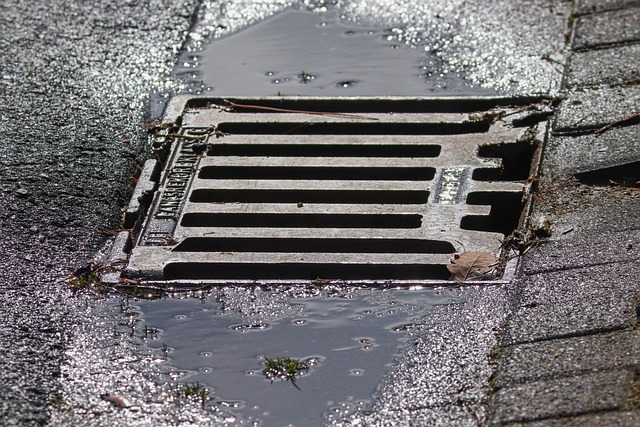 drain rooter
