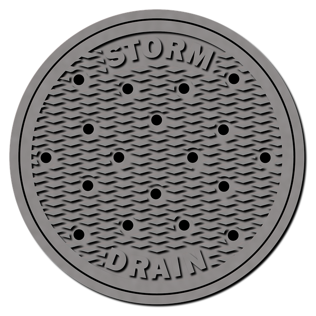 drain rooter