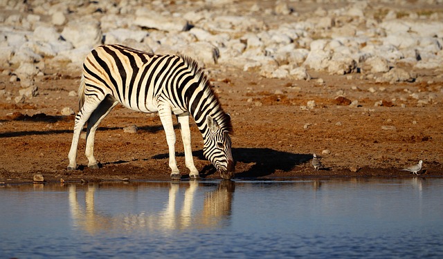 drinking water system