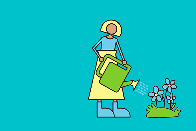 eco friendly drain cleaning