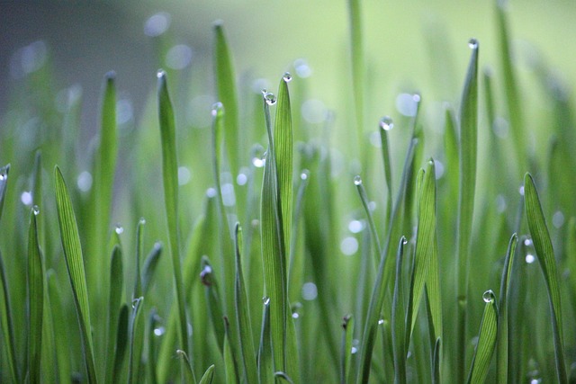 eco-friendly-drain-cleaning-640x480-25070502.jpeg