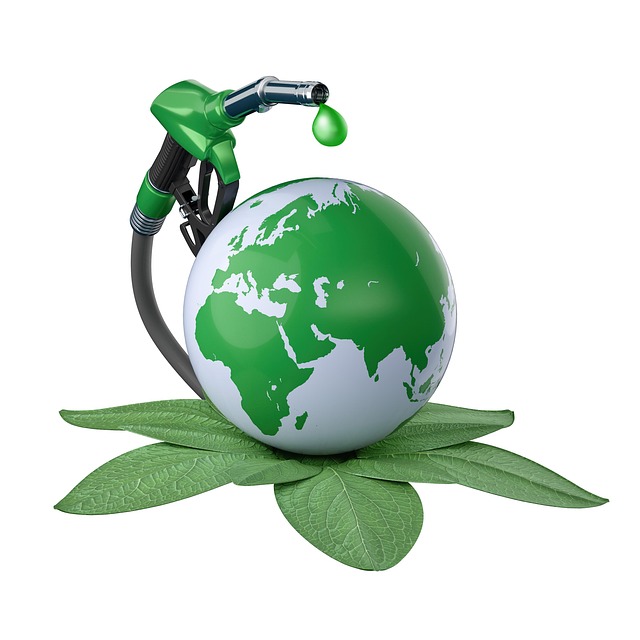 eco friendly drain cleaning