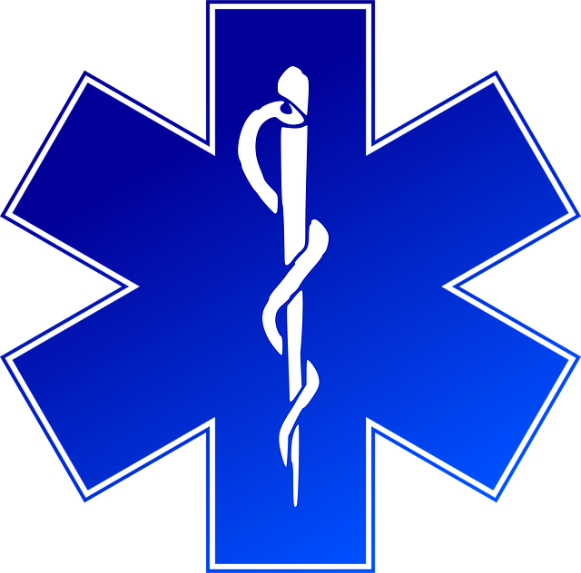 emergency plumber