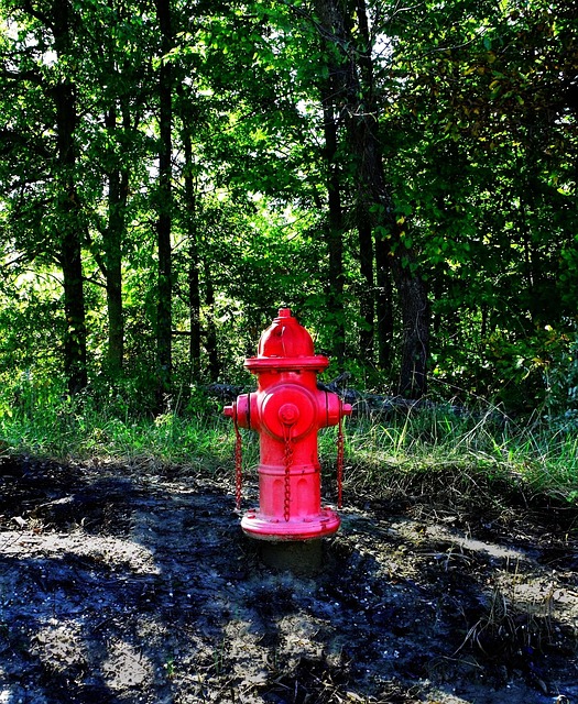 emergency water heater